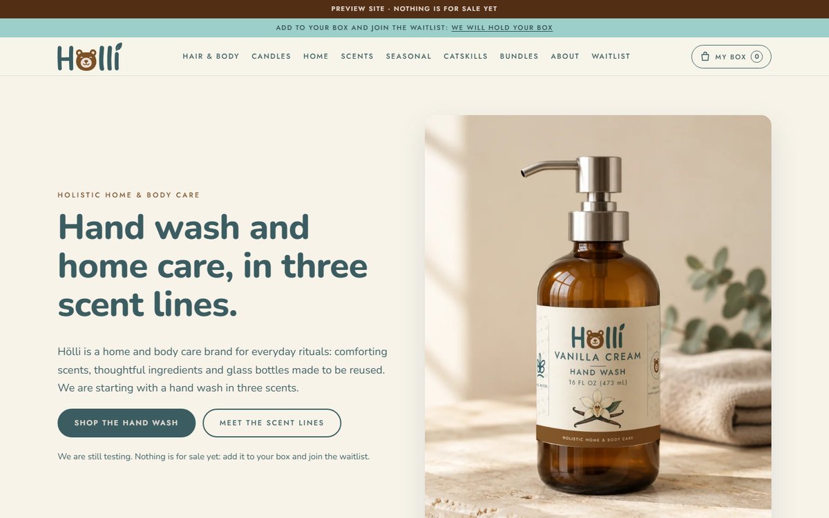 Screenshot of the Hölli website preview